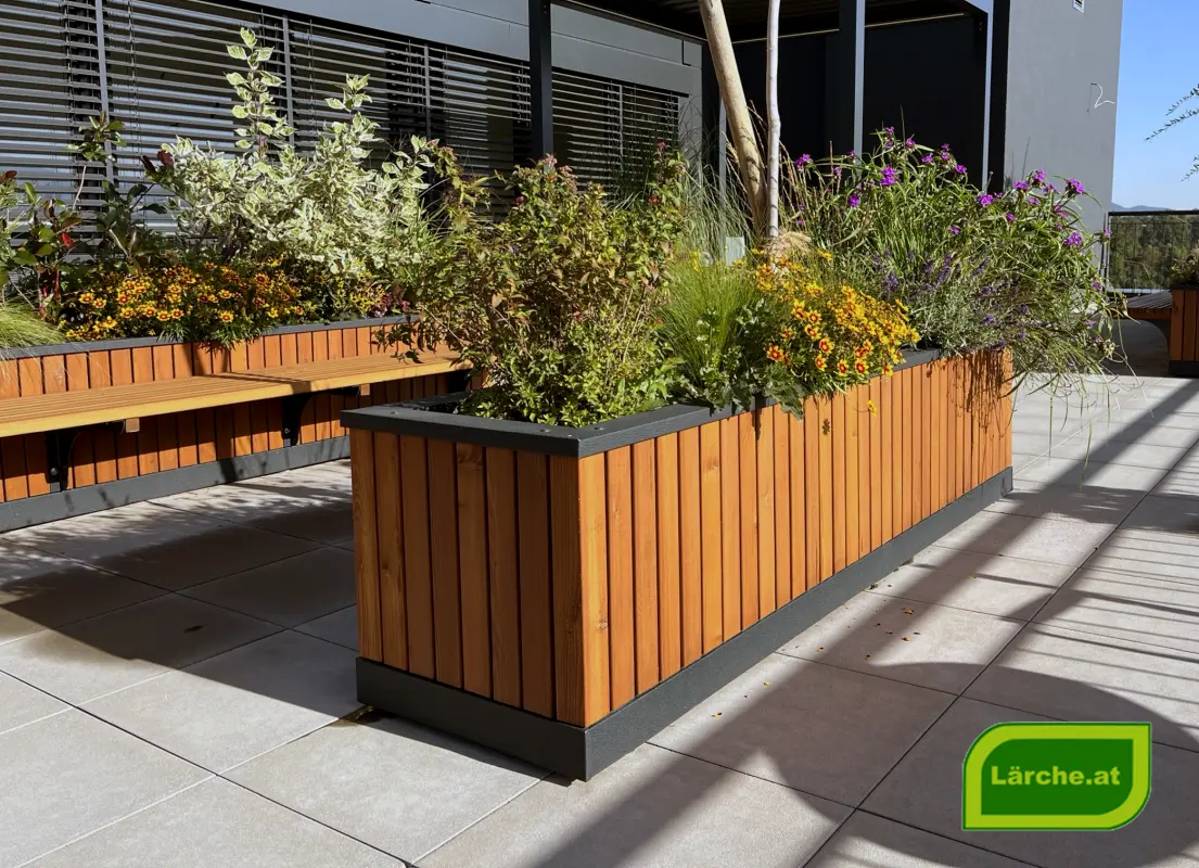 Hochbeet kaufen