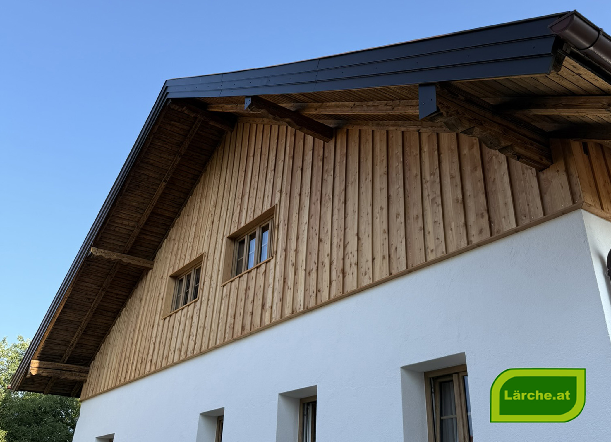 Fassade Lärchenholz